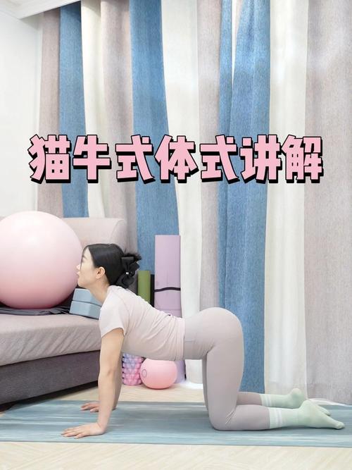 居家瑜伽垫上做猫牛式拉伸动作