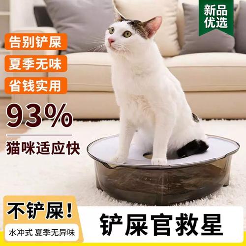猫咪夹着尾巴蹲在猫砂盆旁边低头不敢动