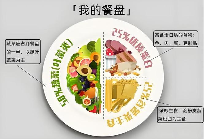 清淡饮食餐盘比例划分图