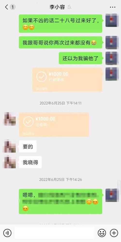 普通人网络交易被骗转账聊天记录截图