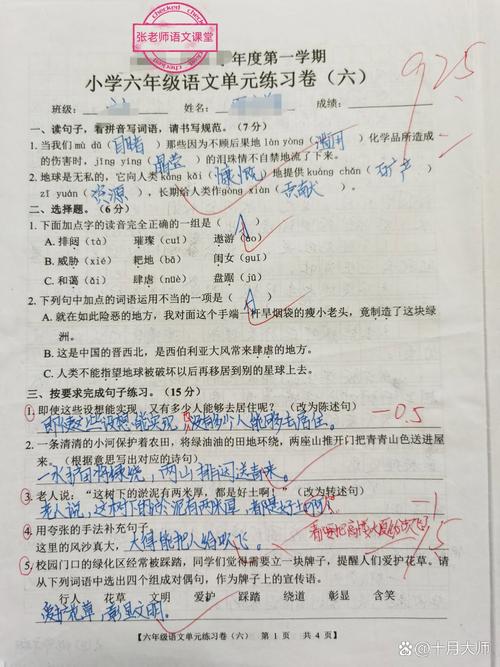 小学六年级语文信息提取概括考题错题样卷