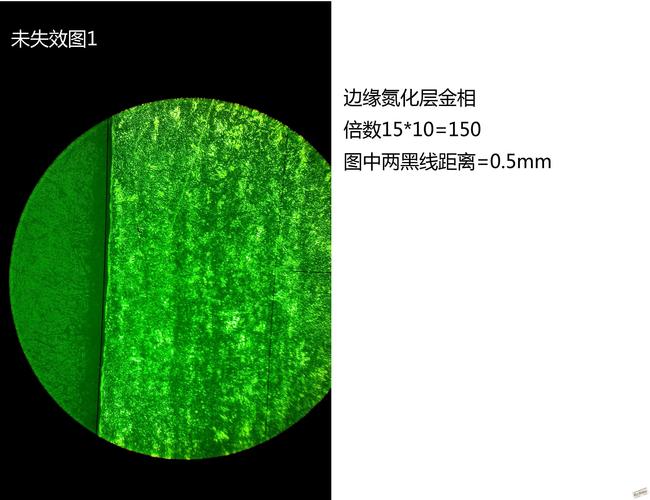 38CrMoAl钢氮化层组织金相显微图
