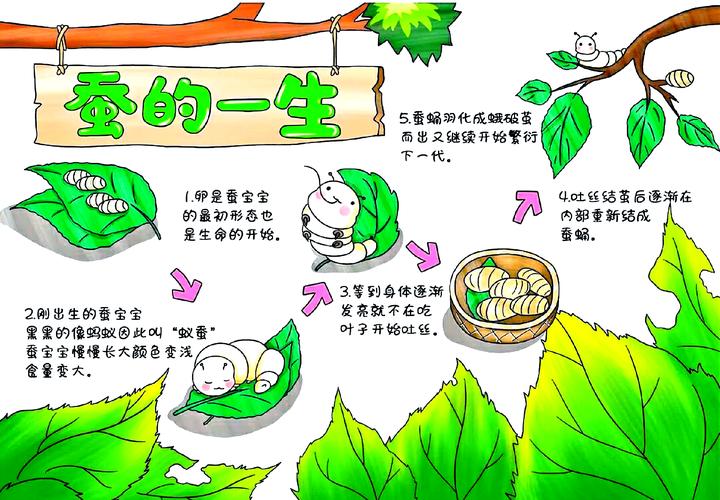 小学生自然观察作业手绘爬行类动物
