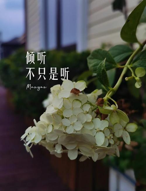 倾听不是点头,是把自己放下
