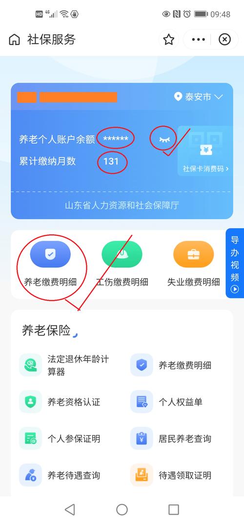 职工养老保险个人账户缴费明细查询页面截图