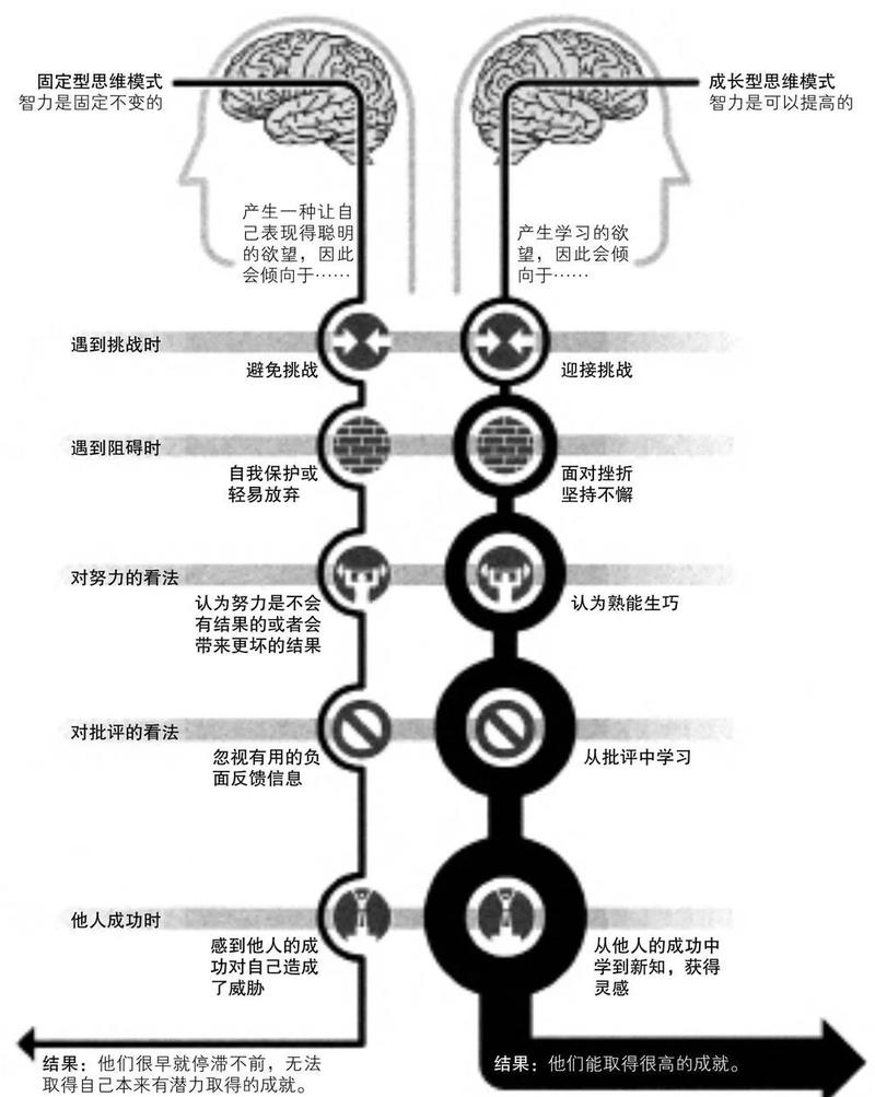 固定思维与成长思维大脑fMRI扫描对比图