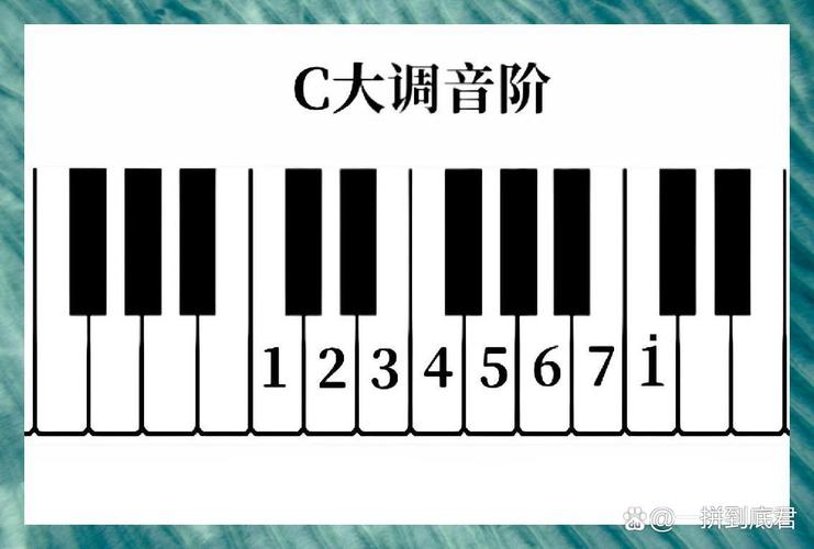歌手练声键盘音阶对照图