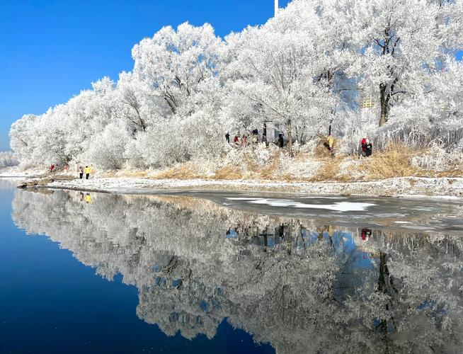 雾凇岛水汽模糊取景拍出的江边雾凇
