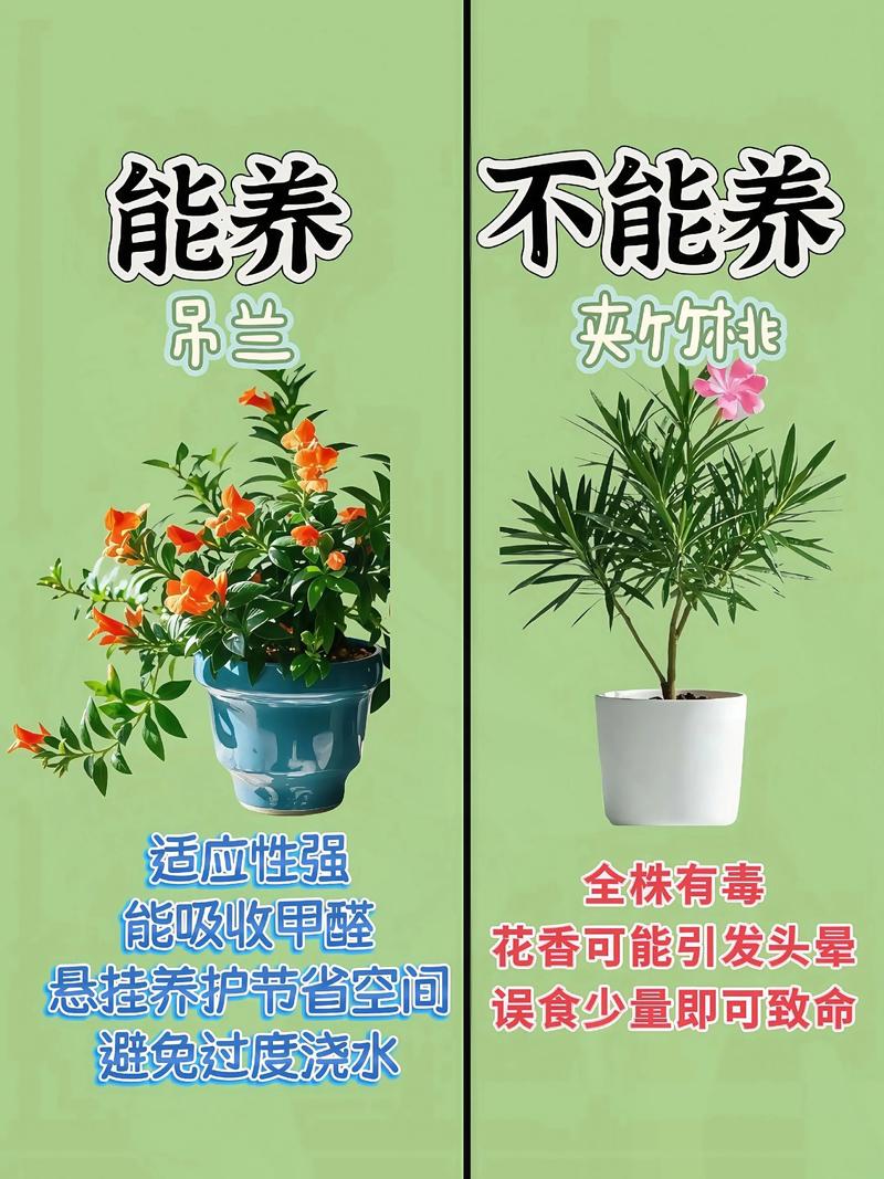 家有毛孩子?这些植物千万别碰