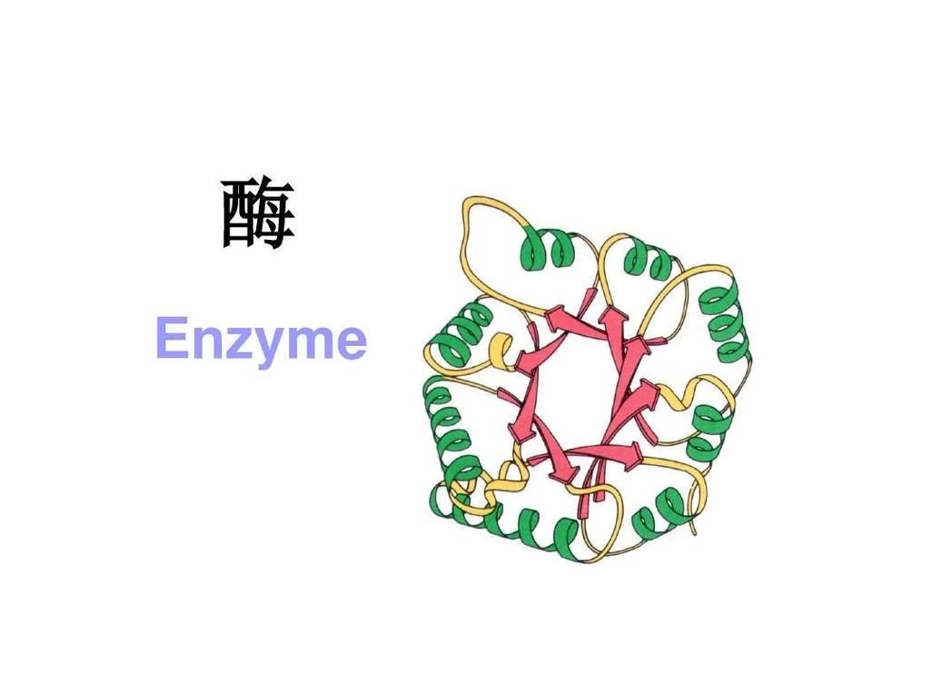 生物催化：让酶干活，你只管收割
