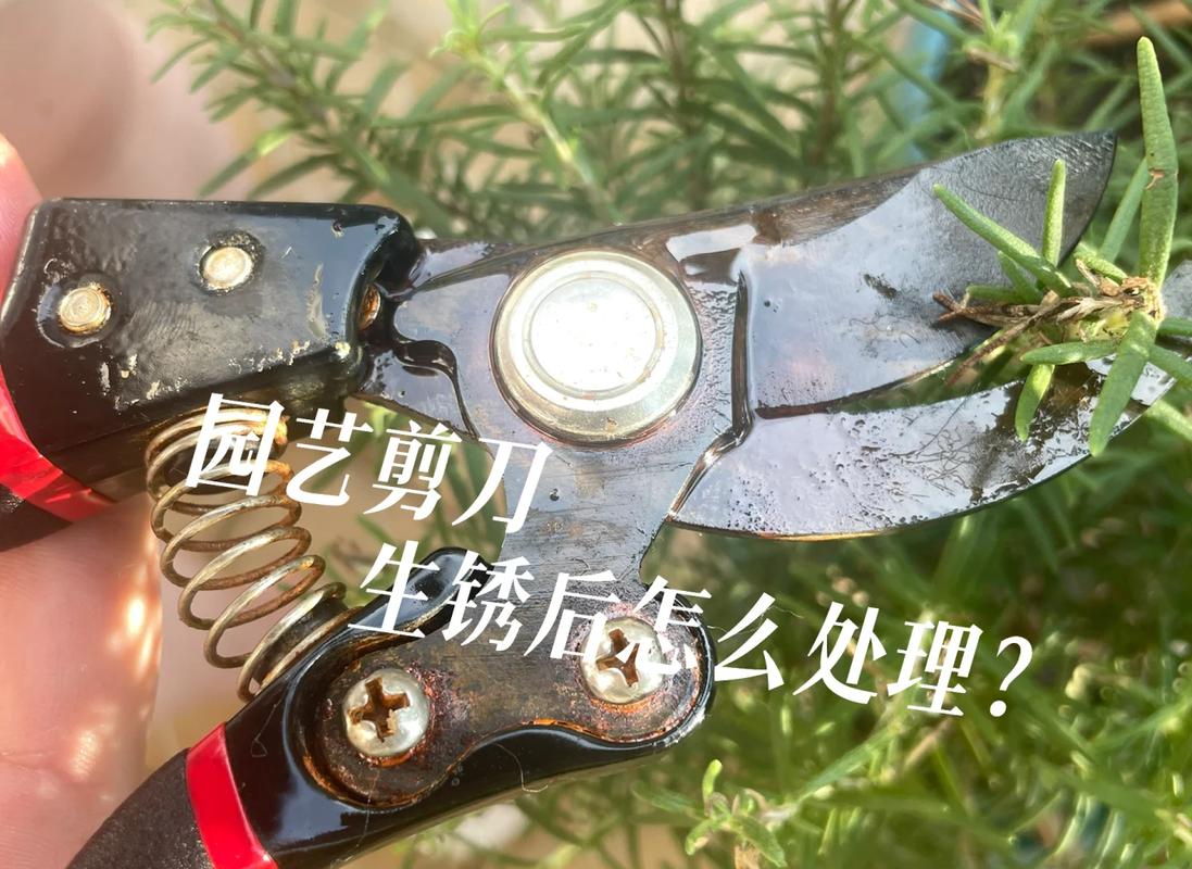 阳台角落生锈的儿童不锈钢剪刀