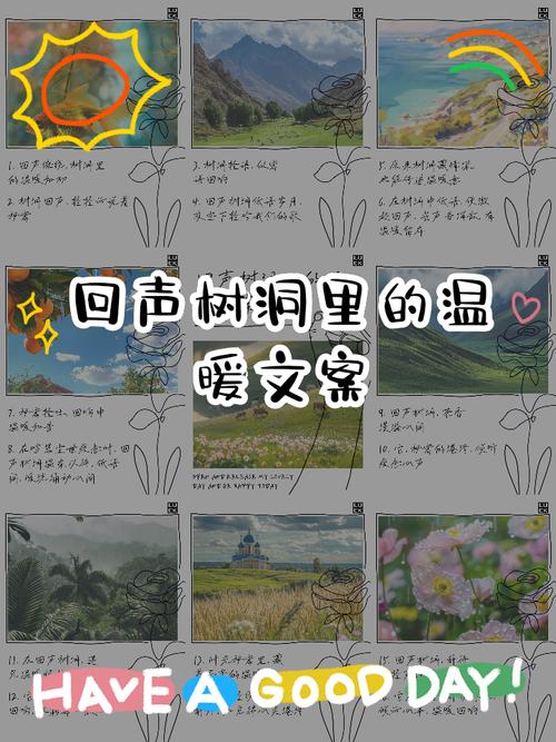 真正的树洞,是你敢不敢听见回声