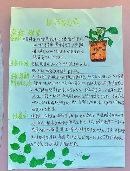 小学三年级学生手写绿萝生长变量对照实验观察记录页