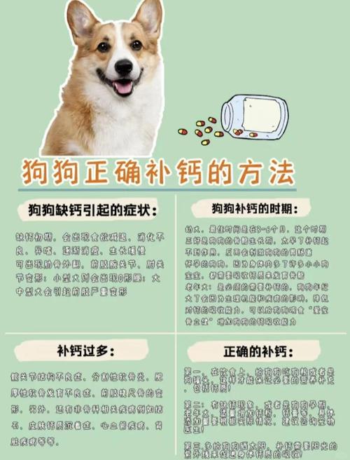 日常养宠，到底该怎么搞定钙磷比？