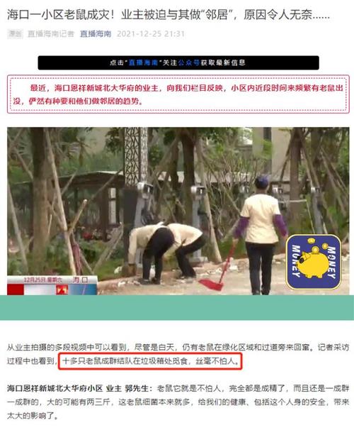 真摊上事了,按这三个步骤走