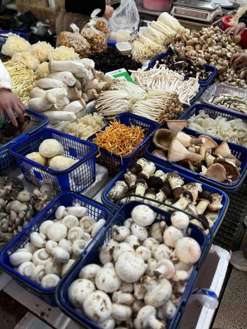市场售卖新鲜菌菇食材摊位图