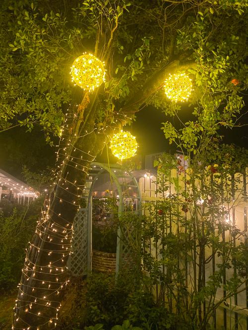 夜间婚礼户外草坪串灯布置实景