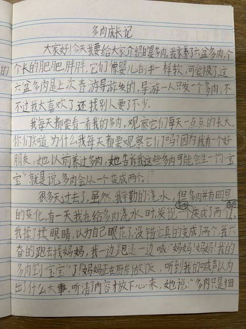 中学生日常写作训练观察笔记手迹