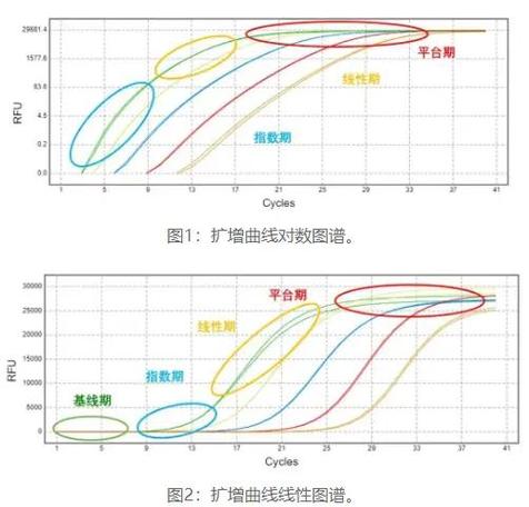 新旧系统在绞杀者模式下的QPS和延迟对比压测图