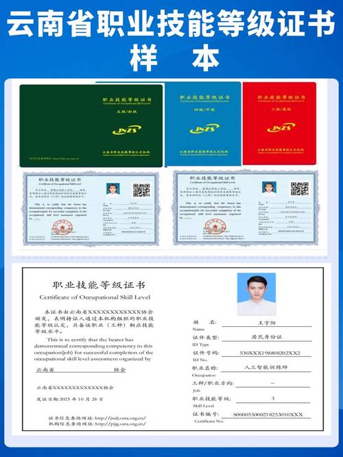 职业技能等级证书样本及联网查询页面