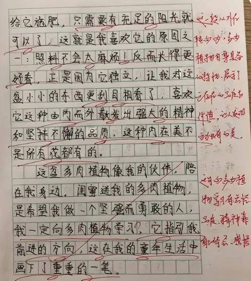 小学生作文本上老师红笔修改痕迹
