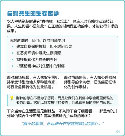 荆棘教会我的几件事