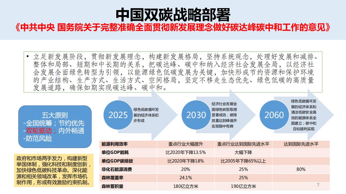 双碳目标下的转型岔路口