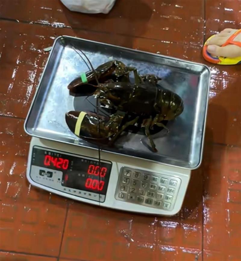 三亚海鲜市场公平秤