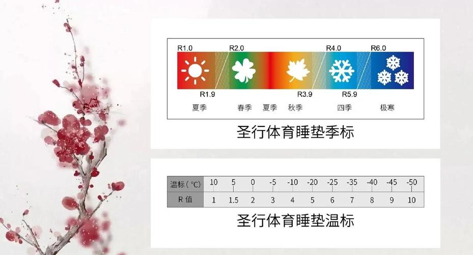户外睡垫R值对比与选择指南