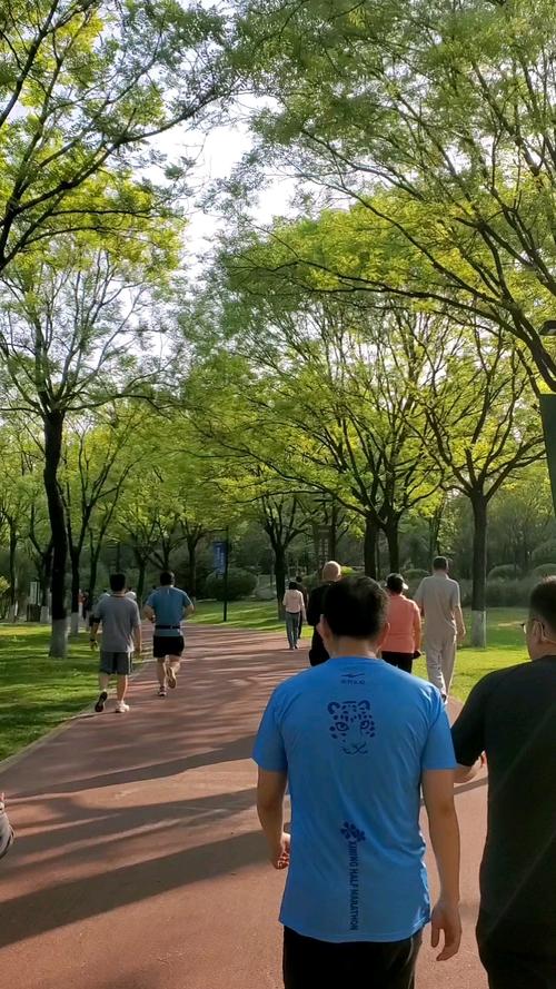 城市公园清晨市民遛弯养生场景