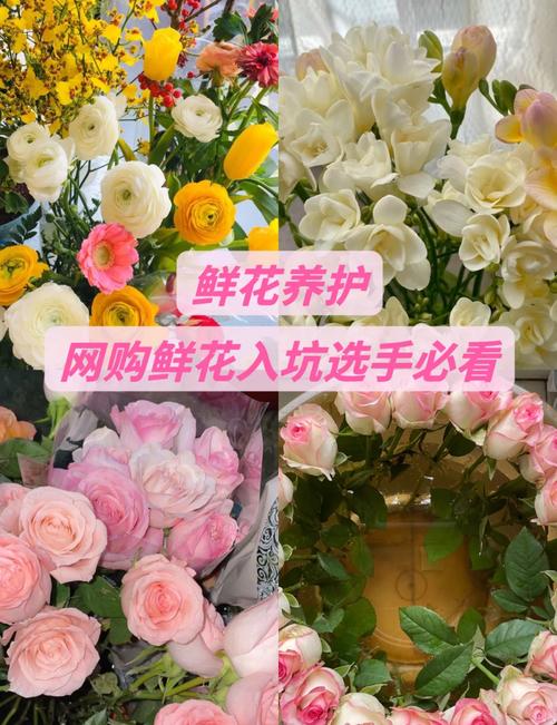 花几十块保养就能避开的坑，别等坏了才后悔