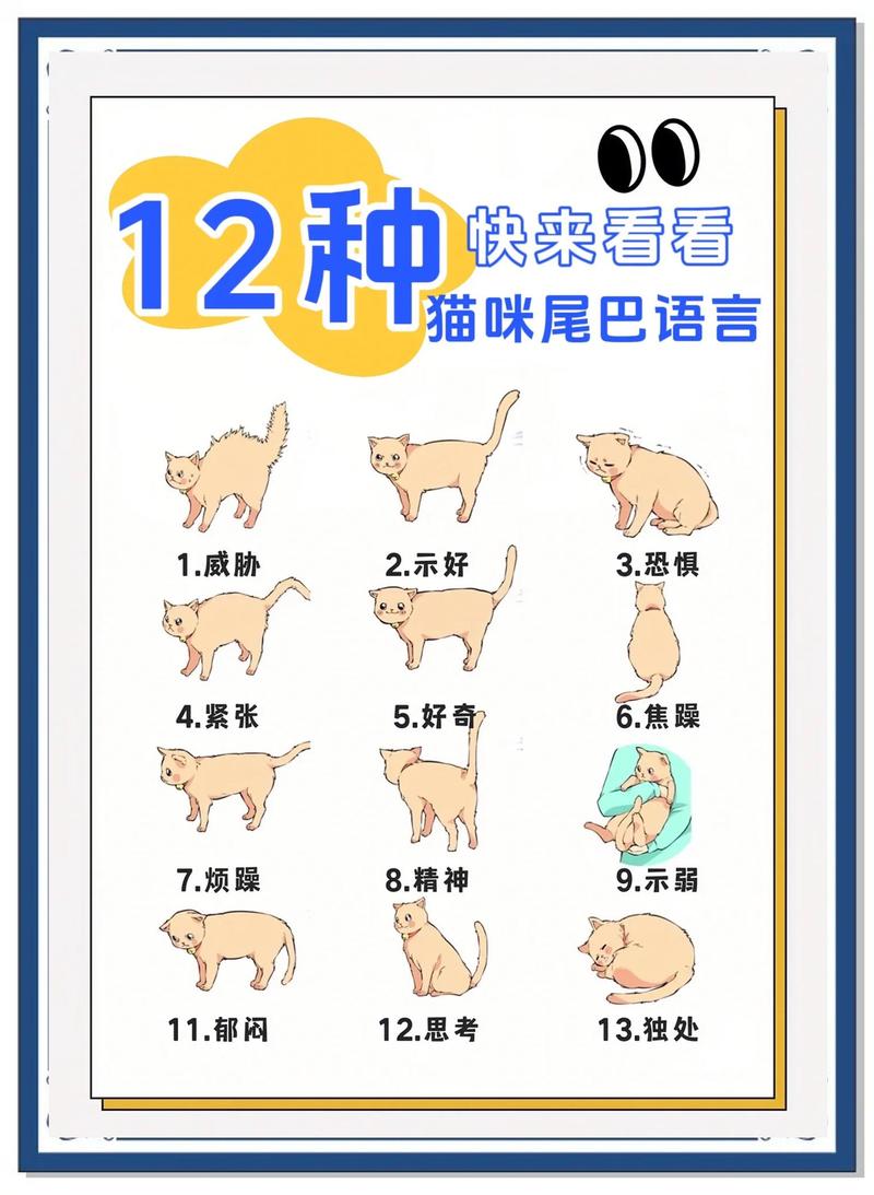 你家老猫有没有这些容易被忽略的信号