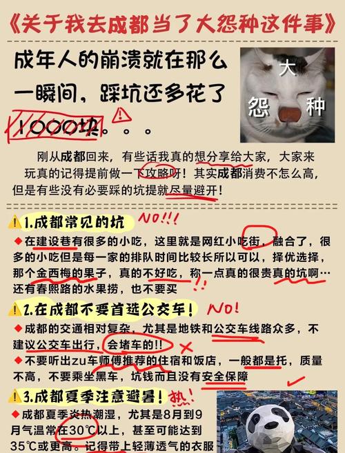 踩过无数坑才摸出来的避坑指南