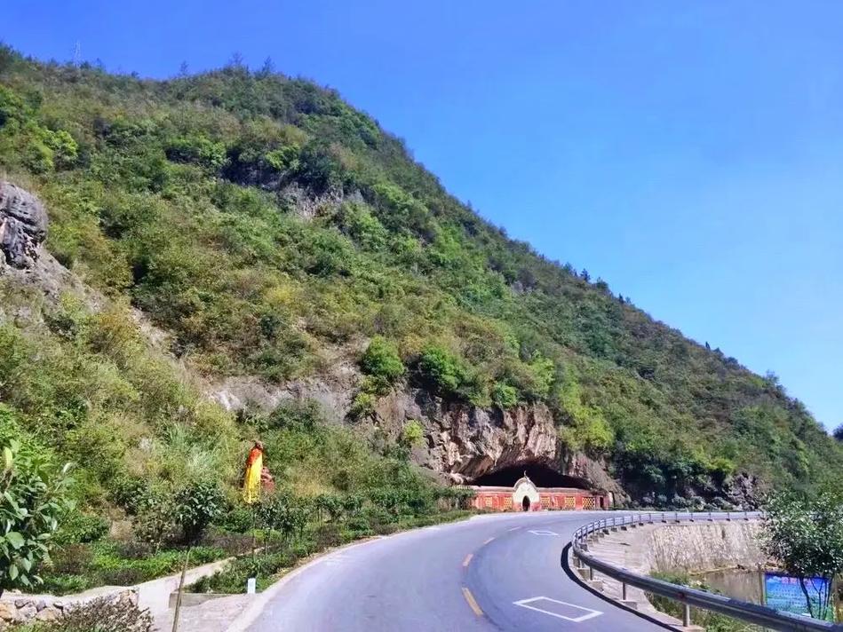 南漳巡检镇通往玉印岩的盘山公路旁栎树林