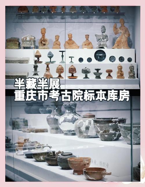 非国有博物馆藏品合规备案资料整理场景