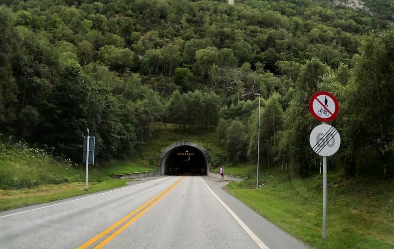 挪威驯鹿穿越公路隧道专用通道