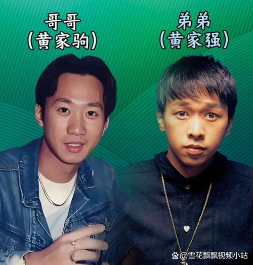 这两年,我实打实合作过的几家
