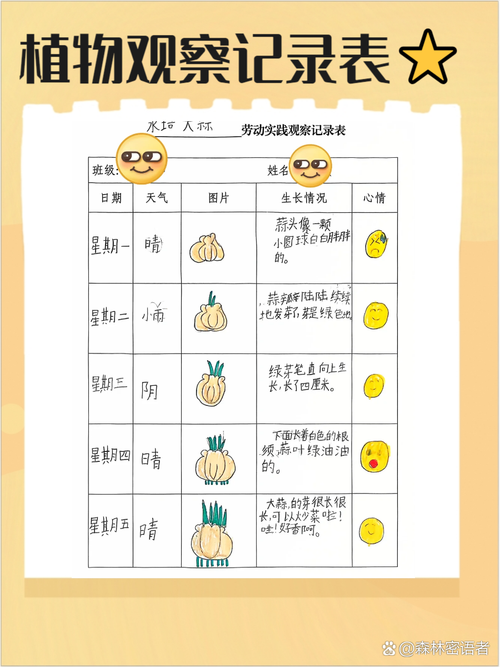 孩子户外项目式学习植物观察记录手账