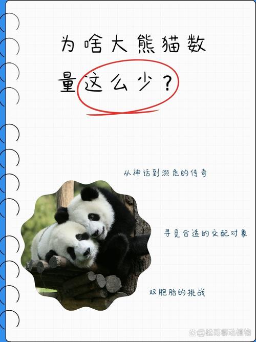 人才荒:懂软又懂硬的,比大熊猫还少