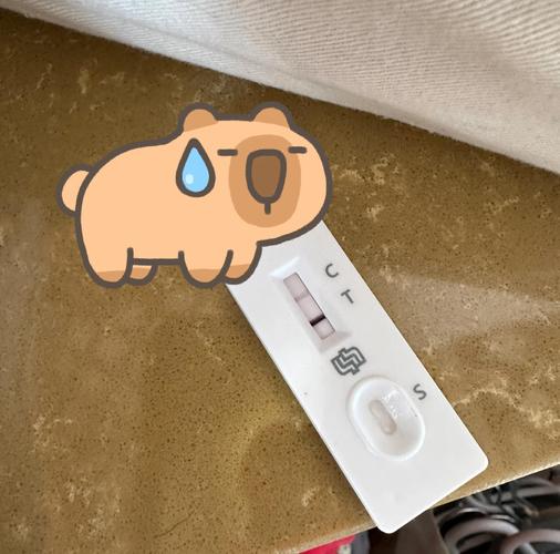 散场后留着的体温