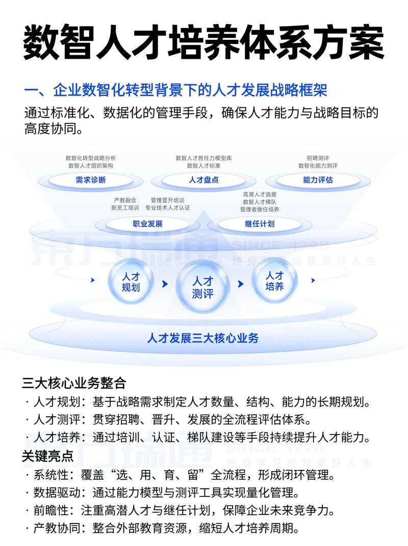 数字经济人才技能复合模型示意图
