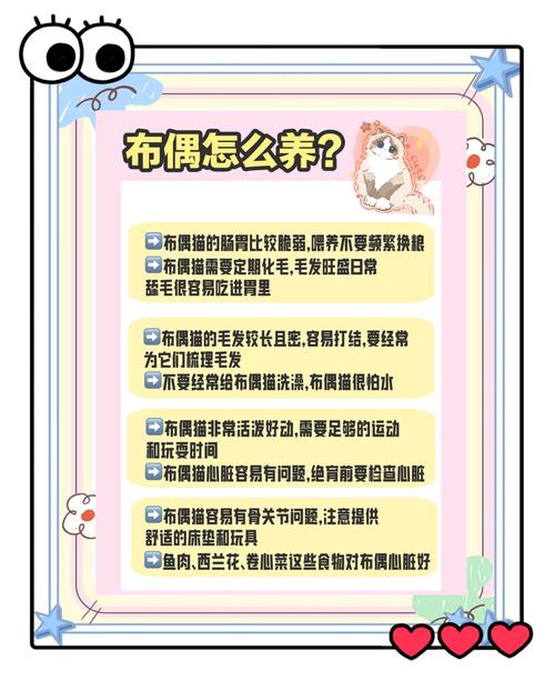 日常养猫，怎么防毛球才靠谱？