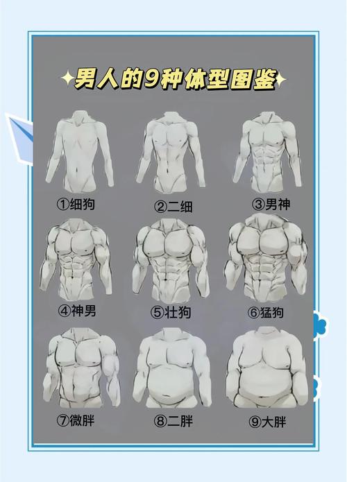 成年人不同年龄肌肉量变化对比图