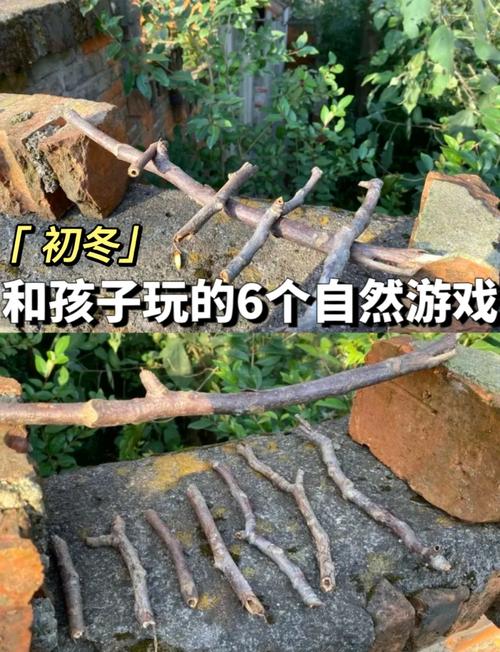 家庭楼下绿地亲子自然收集游戏