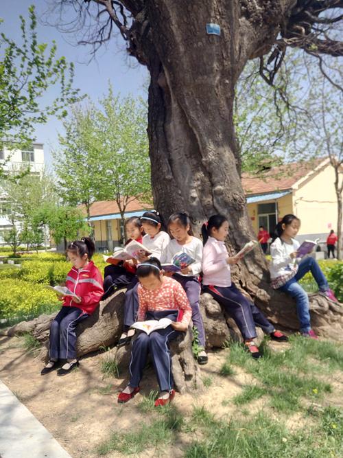 山区学校教师带学生树下读古诗文场景