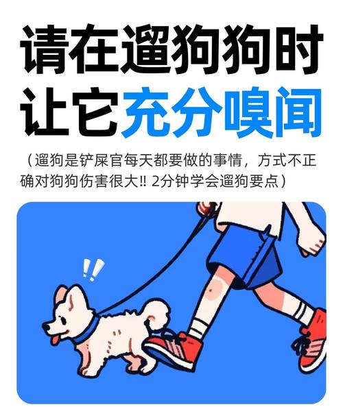 放心让狗嗅闻，只要守这几个规矩