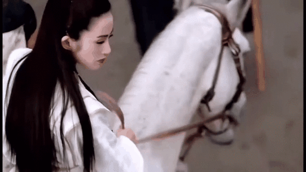那些年,我见过的“神仙打架”