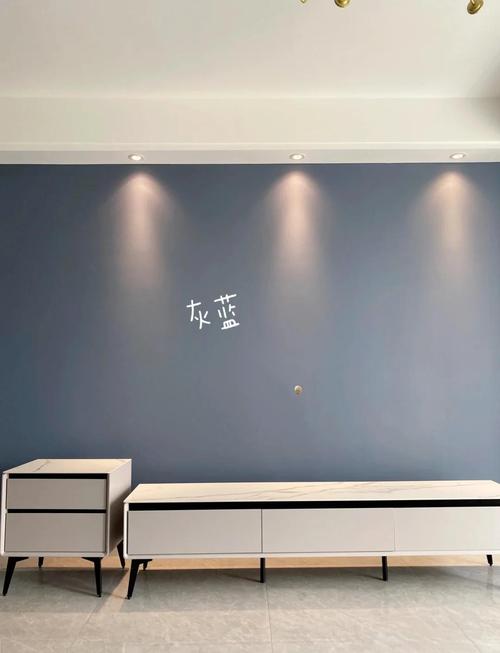 矿物颜料灰蓝色客餐厅墙面装修实景