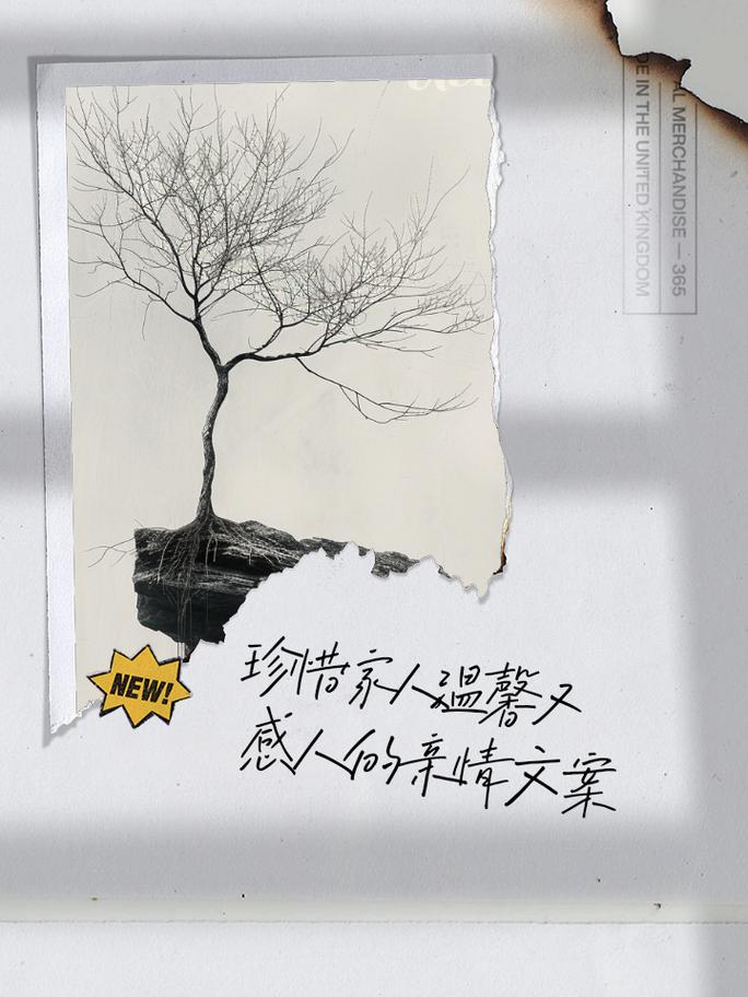 把记忆存好，是给一家人最长情的底气