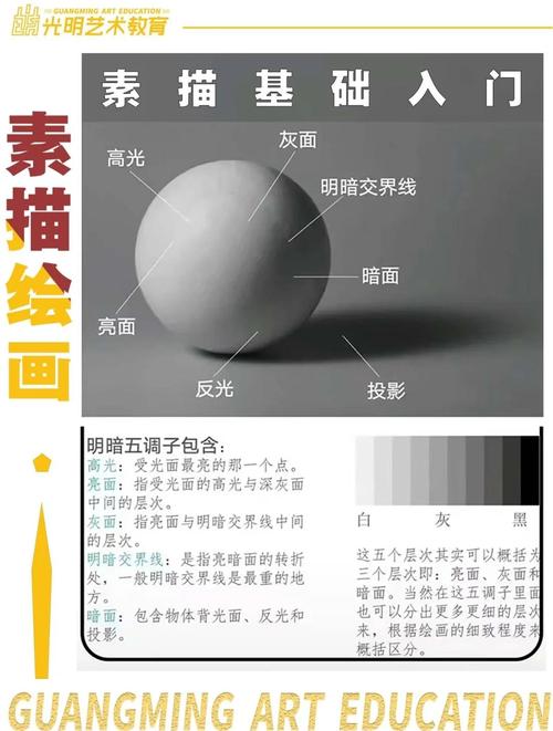 素描球体五大调子明暗层次标注图